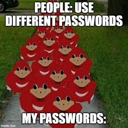 Ugandan knuckles army | PEOPLE: USE DIFFERENT PASSWORDS; MY PASSWORDS: | image tagged in ugandan knuckles army | made w/ Imgflip meme maker