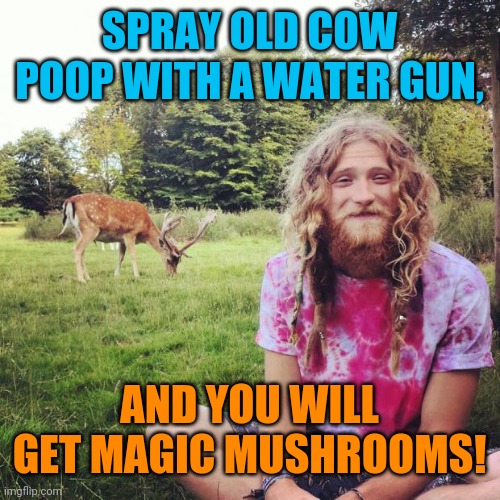 Heathen hippie | SPRAY OLD COW POOP WITH A WATER GUN, AND YOU WILL GET MAGIC MUSHROOMS! | image tagged in heathen hippie | made w/ Imgflip meme maker