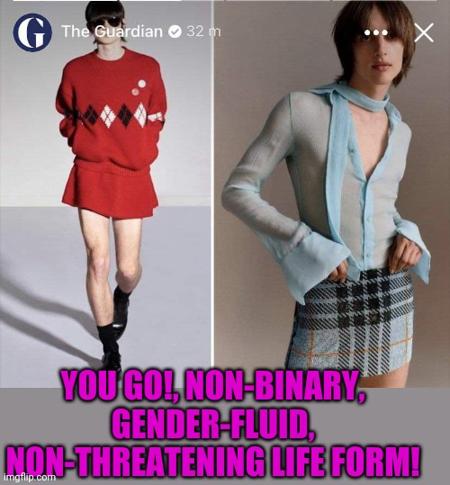 YOU GO!, NON-BINARY, GENDER-FLUID, NON-THREATENING LIFE FORM! | made w/ Imgflip meme maker