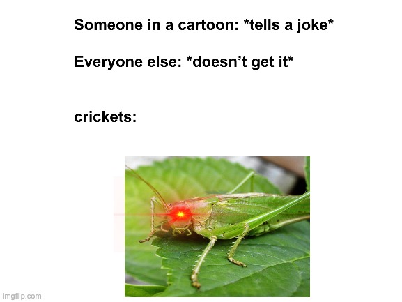 crickets be like | image tagged in funny,memes,cartoons,crickets | made w/ Imgflip meme maker