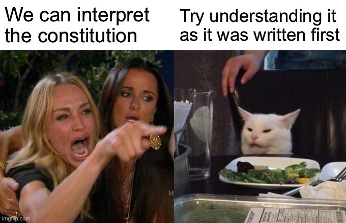Woman Yelling At Cat Meme | We can interpret the constitution Try understanding it as it was written first | image tagged in memes,woman yelling at cat | made w/ Imgflip meme maker