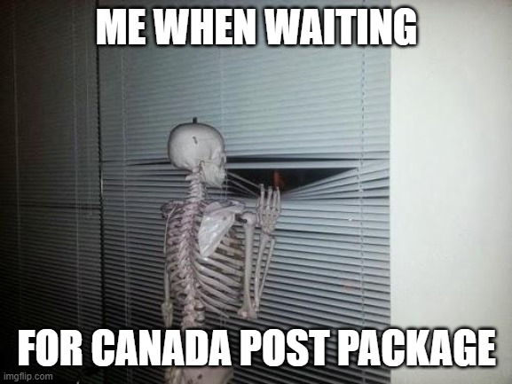 Waiting Skeleton |  ME WHEN WAITING; FOR CANADA POST PACKAGE | image tagged in waiting skeleton | made w/ Imgflip meme maker