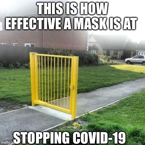 Useless fence meme | THIS IS HOW EFFECTIVE A MASK IS AT; STOPPING COVID-19 | image tagged in useless fence meme | made w/ Imgflip meme maker