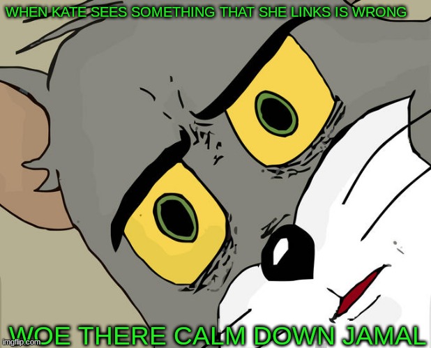 WOE THERE CALM DOWN JAMAL | WHEN KATE SEES SOMETHING THAT SHE LINKS IS WRONG; WOE THERE CALM DOWN JAMAL | image tagged in memes,unsettled tom | made w/ Imgflip meme maker