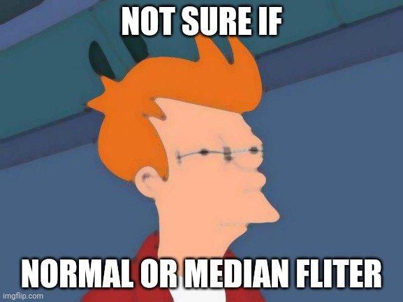 Futurama Fry Meme | NOT SURE IF; NORMAL OR MEDIAN FLITER | image tagged in memes,futurama fry | made w/ Imgflip meme maker