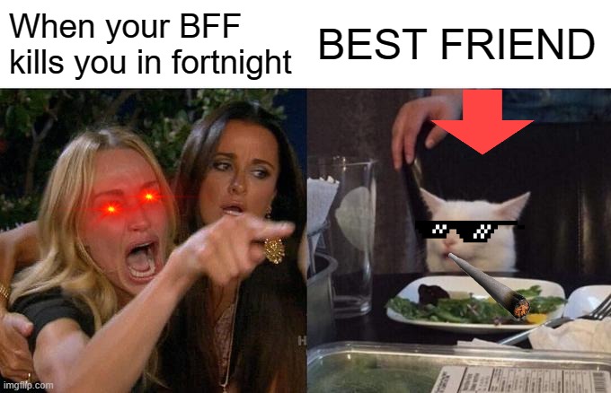 FORTNITE RAGE | When your BFF kills you in fortnight; BEST FRIEND | image tagged in memes,woman yelling at cat | made w/ Imgflip meme maker