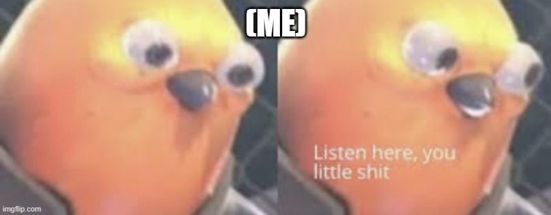 Listen here you little shit bird | (ME) | image tagged in listen here you little shit bird | made w/ Imgflip meme maker
