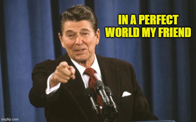 Ronald Reagan | IN A PERFECT WORLD MY FRIEND | image tagged in ronald reagan | made w/ Imgflip meme maker