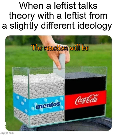 mentos and coke | When a leftist talks theory with a leftist from a slightly different ideology | image tagged in mentos and coke,leftists | made w/ Imgflip meme maker