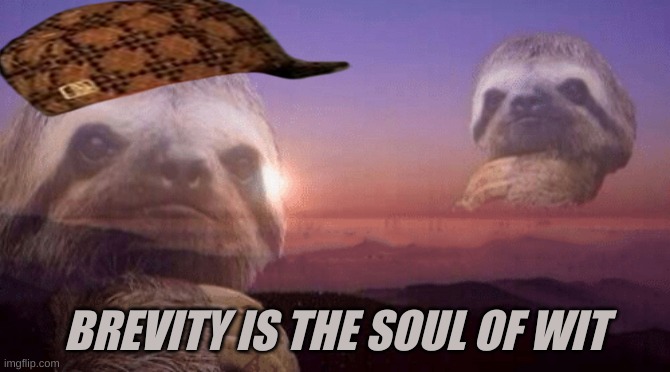 BREVITY IS THE SOUL OF WIT | image tagged in sloth | made w/ Imgflip meme maker