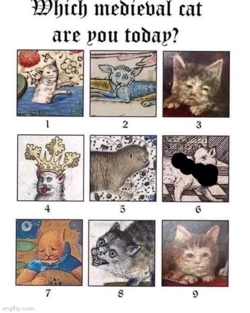 image tagged in had to censor part of it because the cat eas holding something | made w/ Imgflip meme maker