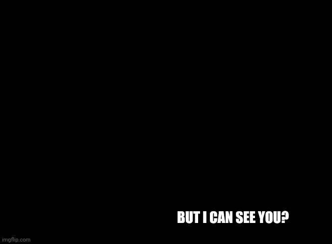 blank black | BUT I CAN SEE YOU? | image tagged in blank black | made w/ Imgflip meme maker