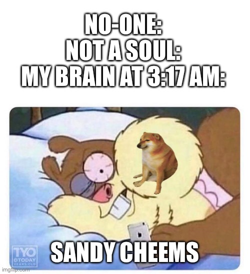 BONK | NO-ONE:

NOT A SOUL:

MY BRAIN AT 3:17 AM:; SANDY CHEEMS | image tagged in sandy cheecks,memes,funny,cheems,oh wow are you actually reading these tags,stop reading the tags | made w/ Imgflip meme maker
