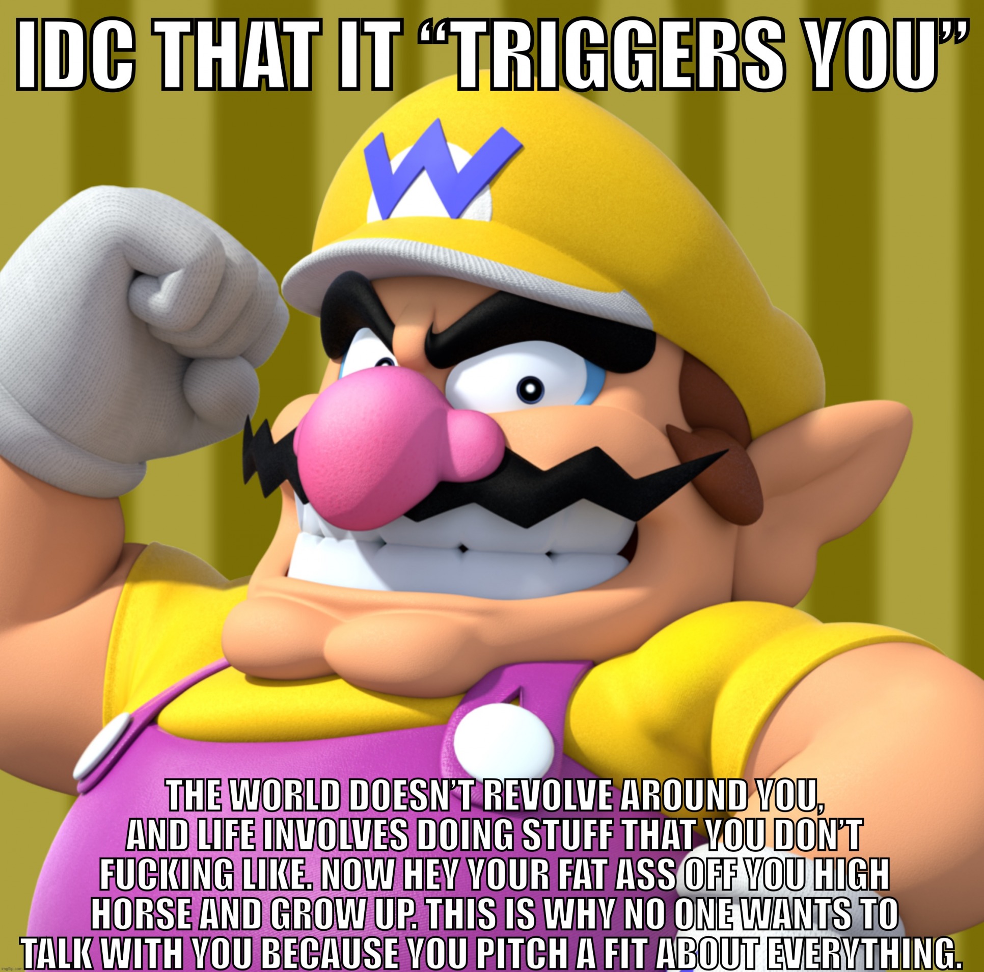 Idc that it “triggers you” Wario Blank Meme Template