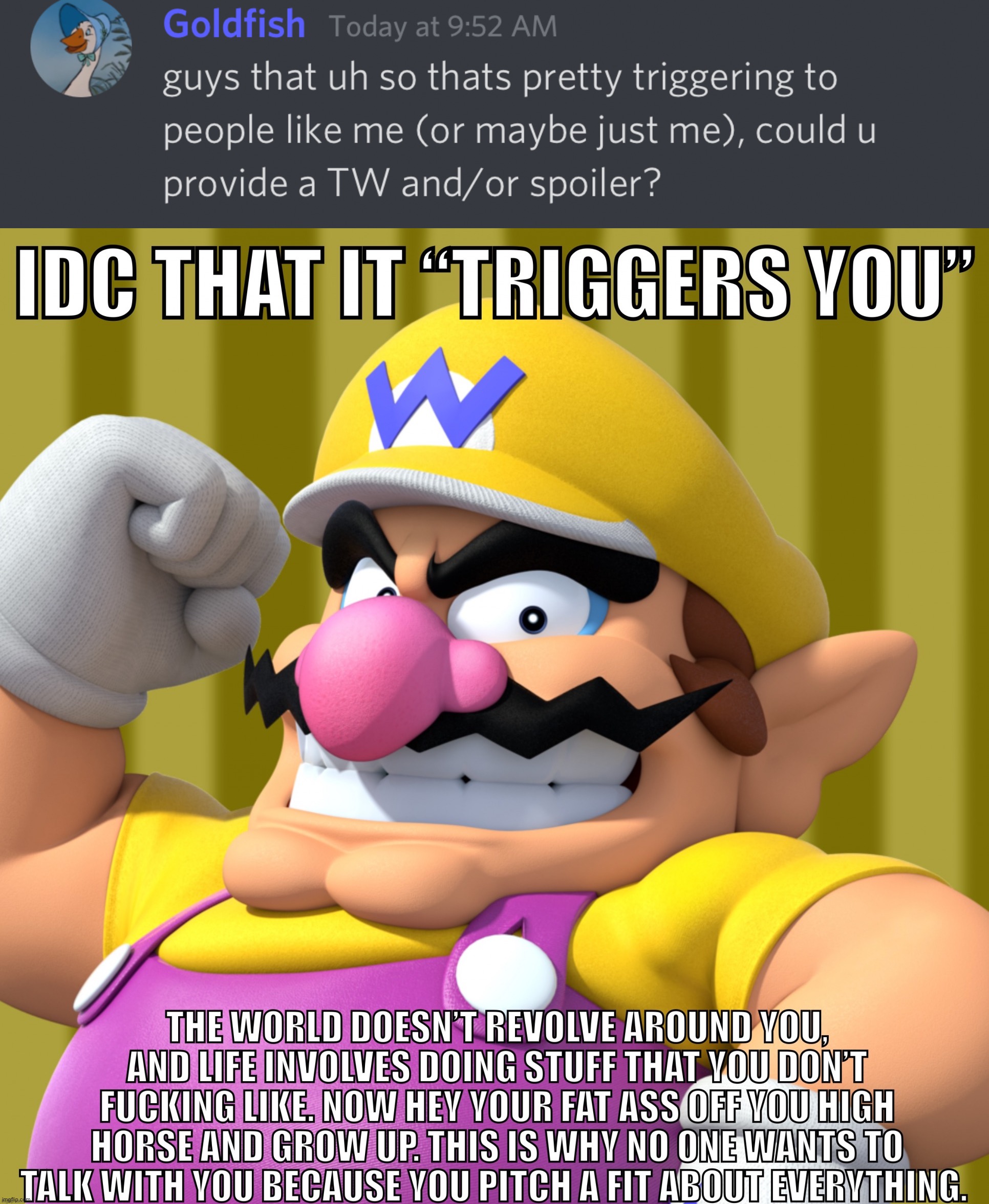 Also this is the fucker that whined about a mention of death | image tagged in idc that it triggers you wario | made w/ Imgflip meme maker