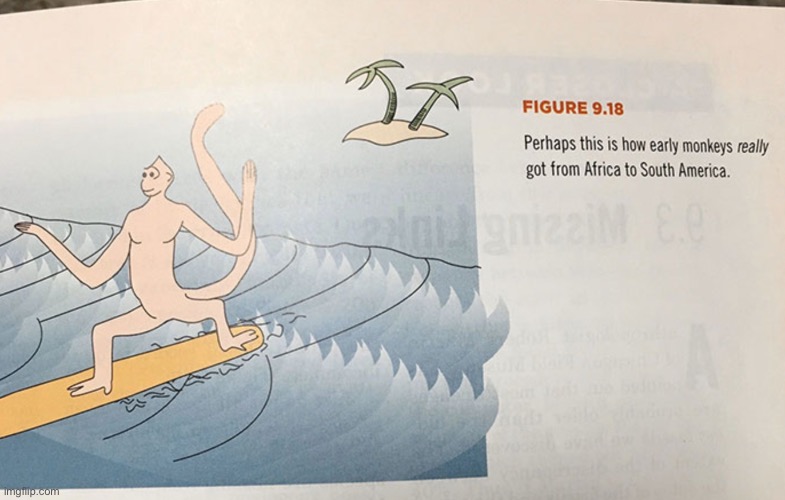 How monkeys got to South America | made w/ Imgflip meme maker