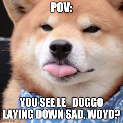 f | POV:; YOU SEE LE_DOGGO LAYING DOWN SAD, WDYD? | image tagged in if your reading the tags,le_doggo expresses same emotion as me irl,so yeah,i'm sad | made w/ Imgflip meme maker