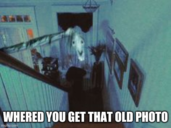 Long Horse | WHERED YOU GET THAT OLD PHOTO | image tagged in long horse | made w/ Imgflip meme maker