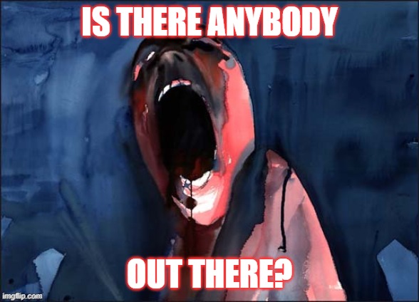 is there anybody out there? | IS THERE ANYBODY; OUT THERE? | image tagged in pink floyd scream | made w/ Imgflip meme maker