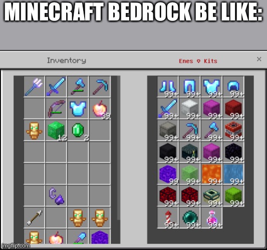 The Sever is 2b2e | MINECRAFT BEDROCK BE LIKE: | made w/ Imgflip meme maker