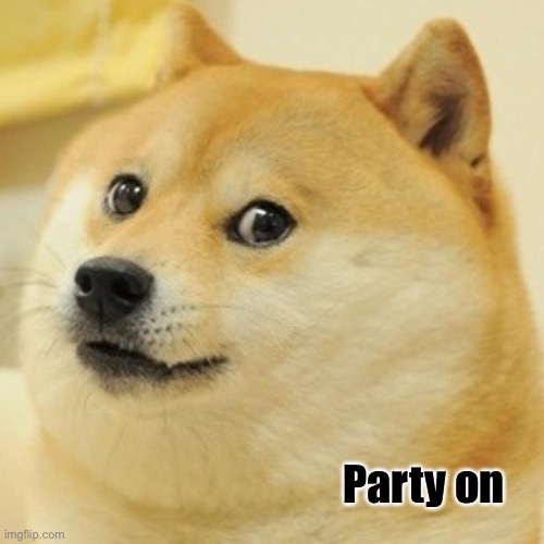 Doge Meme | Party on | image tagged in memes,doge | made w/ Imgflip meme maker