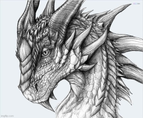 dragon......my hand hurts  ::>_<:: | image tagged in dragons | made w/ Imgflip meme maker