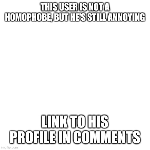 Go raid him! | THIS USER IS NOT A HOMOPHOBE, BUT HE'S STILL ANNOYING; LINK TO HIS PROFILE IN COMMENTS | image tagged in memes,blank transparent square | made w/ Imgflip meme maker