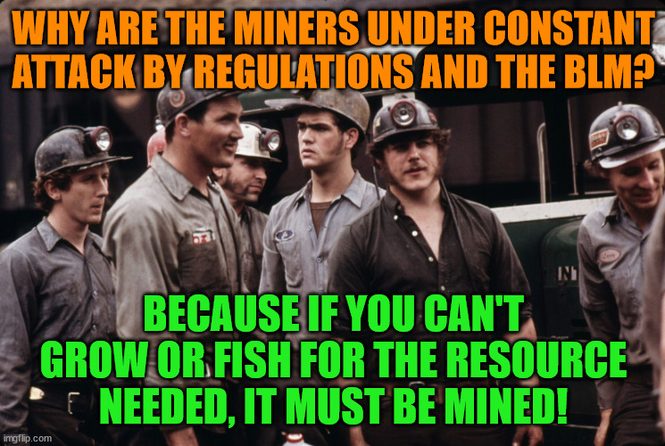 Coal Miners | WHY ARE THE MINERS UNDER CONSTANT ATTACK BY REGULATIONS AND THE BLM? BECAUSE IF YOU CAN'T GROW OR FISH FOR THE RESOURCE NEEDED, IT MUST BE MINED! | image tagged in coal miners | made w/ Imgflip meme maker