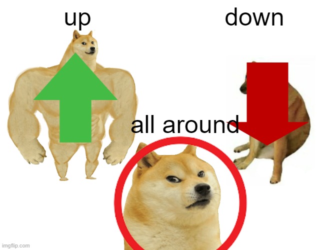 Buff Doge vs. Cheems Meme | up; down; all around | image tagged in memes,buff doge vs cheems | made w/ Imgflip meme maker