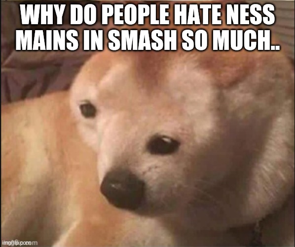 *confusion noises* | WHY DO PEOPLE HATE NESS MAINS IN SMASH SO MUCH.. | image tagged in confused noise,earthbound,smash bros | made w/ Imgflip meme maker