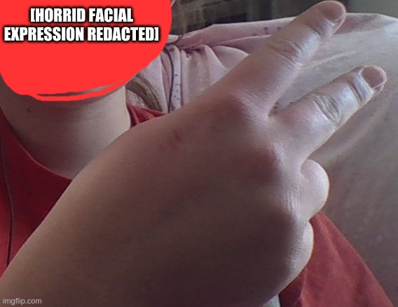 a random pic in my camera roll | [HORRID FACIAL EXPRESSION REDACTED] | made w/ Imgflip meme maker