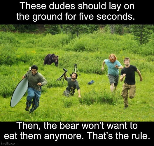 The Five Second Rule | These dudes should lay on the ground for five seconds. Then, the bear won’t want to eat them anymore. That’s the rule. | image tagged in funny memes,bears,five second rule | made w/ Imgflip meme maker
