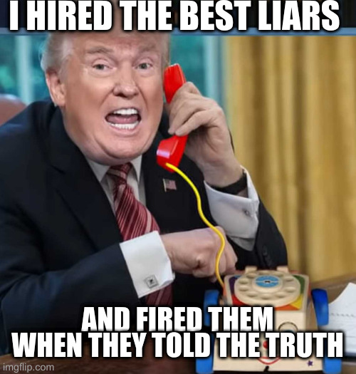I'm the president | I HIRED THE BEST LIARS AND FIRED THEM WHEN THEY TOLD THE TRUTH | image tagged in i'm the president | made w/ Imgflip meme maker