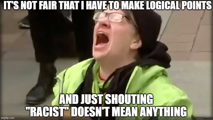 Trump SJW No | IT'S NOT FAIR THAT I HAVE TO MAKE LOGICAL POINTS AND JUST SHOUTING "RACIST" DOESN'T MEAN ANYTHING | image tagged in trump sjw no | made w/ Imgflip meme maker