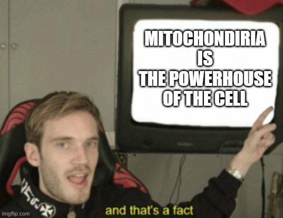 What you learn at school | MITOCHONDIRIA IS THE POWERHOUSE OF THE CELL | image tagged in and that's a fact | made w/ Imgflip meme maker