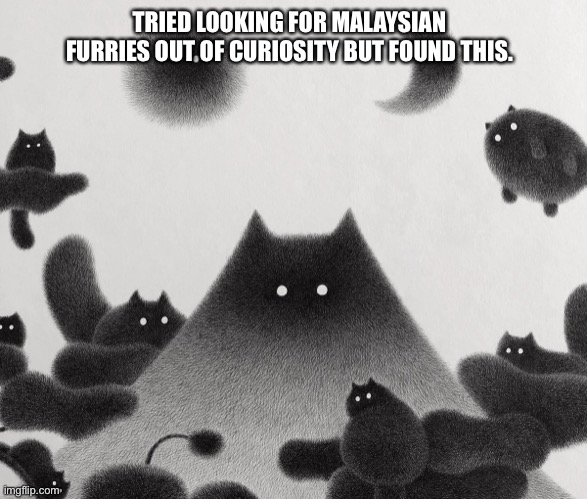 TRIED LOOKING FOR MALAYSIAN FURRIES OUT OF CURIOSITY BUT FOUND THIS. | made w/ Imgflip meme maker