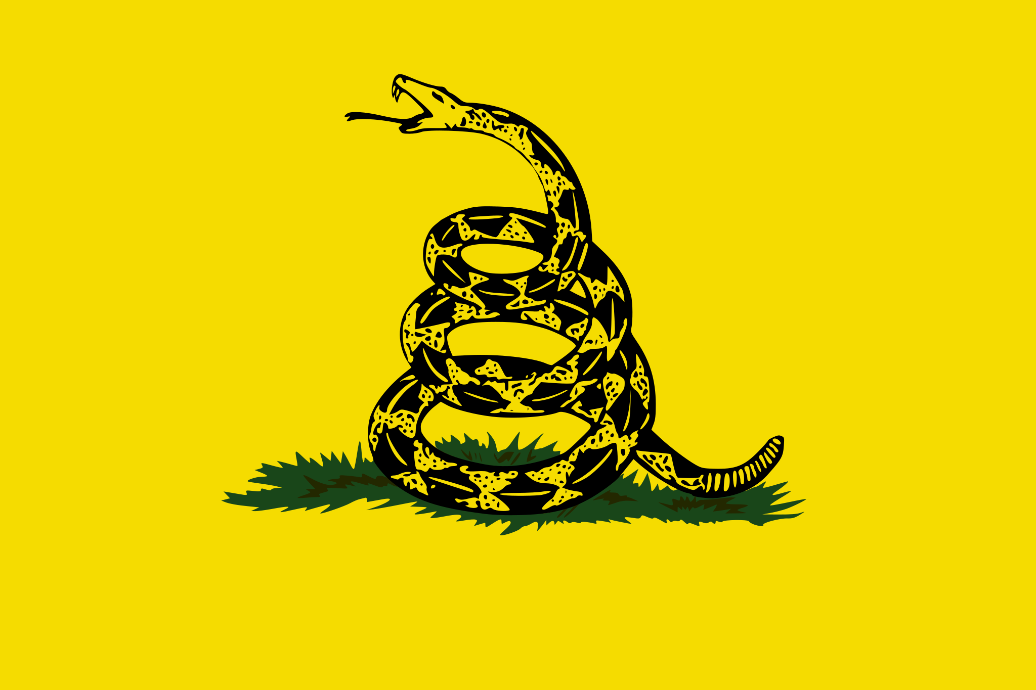 High Quality Don't tread on me Blank Meme Template