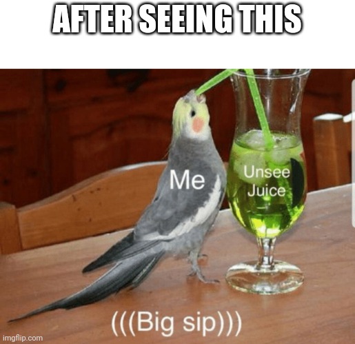 Unsee juice | AFTER SEEING THIS | image tagged in unsee juice | made w/ Imgflip meme maker