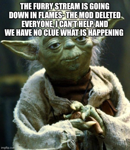 Please! | THE FURRY STREAM IS GOING DOWN IN FLAMES- THE MOD DELETED EVERYONE, I CAN’T HELP, AND WE HAVE NO CLUE WHAT IS HAPPENING | image tagged in memes,star wars yoda | made w/ Imgflip meme maker