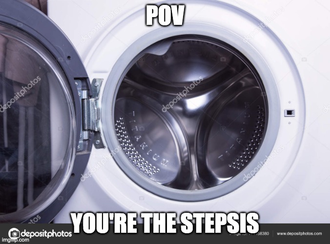 washing machine open | POV; YOU'RE THE STEPSIS | image tagged in washing machine open | made w/ Imgflip meme maker