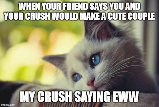 Sad Kitty | WHEN YOUR FRIEND SAYS YOU AND YOUR CRUSH WOULD MAKE A CUTE COUPLE; MY CRUSH SAYING EWW | image tagged in sad kitty | made w/ Imgflip meme maker