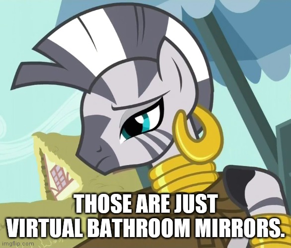 THOSE ARE JUST VIRTUAL BATHROOM MIRRORS. | made w/ Imgflip meme maker