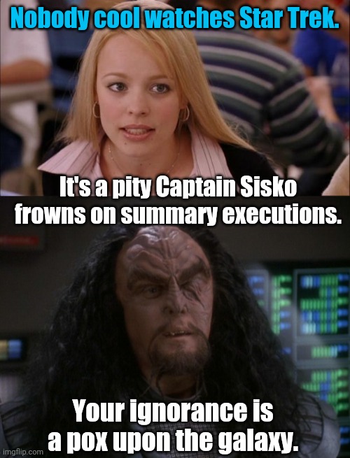 Star Trek is Awesome | Nobody cool watches Star Trek. It's a pity Captain Sisko frowns on summary executions. Your ignorance is a pox upon the galaxy. | image tagged in memes,martok,star trek | made w/ Imgflip meme maker
