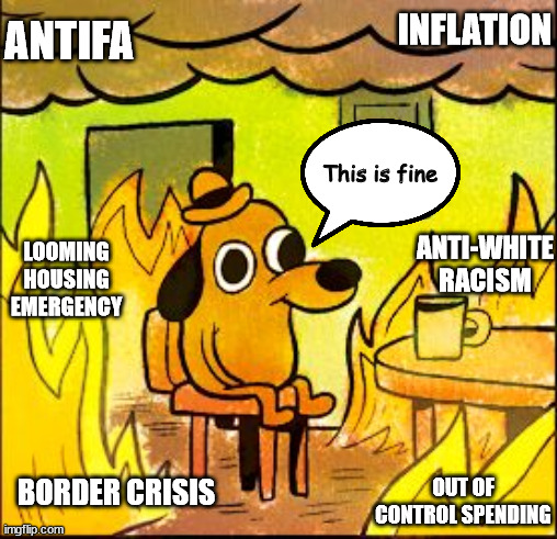 This is fine | INFLATION; ANTIFA; This is fine; ANTI-WHITE RACISM; LOOMING HOUSING EMERGENCY; BORDER CRISIS; OUT OF CONTROL SPENDING | image tagged in this is fine | made w/ Imgflip meme maker