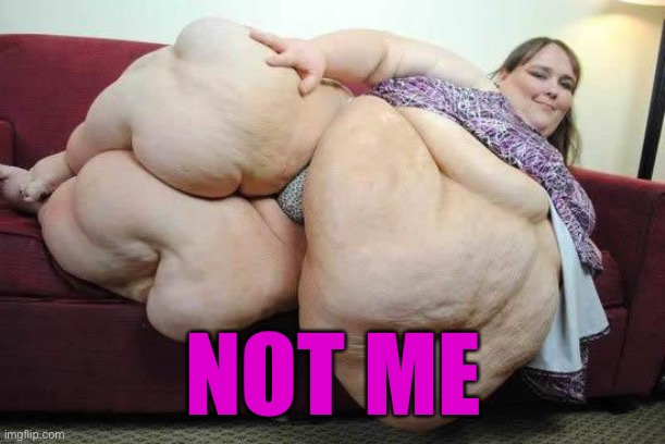 fat girl | NOT ME | image tagged in fat girl | made w/ Imgflip meme maker