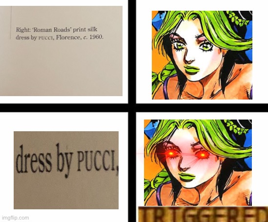 *Scared Jolyne Noises* I literally found this Dress by Pucci in one of my books | image tagged in triggered template,low effort,shitpost,jojo's bizarre adventure,anime | made w/ Imgflip meme maker