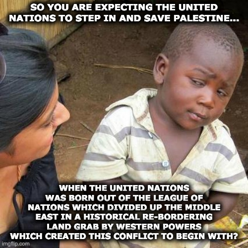 #freepalestine | SO YOU ARE EXPECTING THE UNITED NATIONS TO STEP IN AND SAVE PALESTINE... WHEN THE UNITED NATIONS WAS BORN OUT OF THE LEAGUE OF NATIONS WHICH DIVIDED UP THE MIDDLE EAST IN A HISTORICAL RE-BORDERING LAND GRAB BY WESTERN POWERS WHICH CREATED THIS CONFLICT TO BEGIN WITH? | image tagged in memes,third world skeptical kid | made w/ Imgflip meme maker