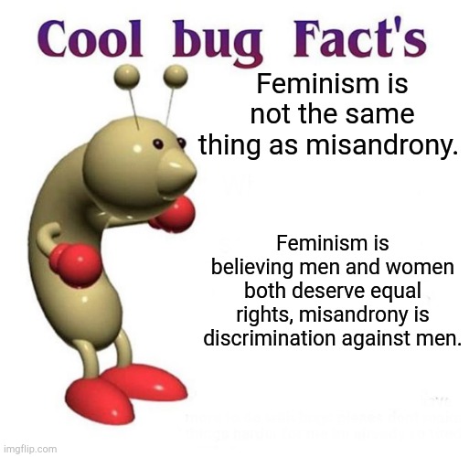 Made by a feminist |  Feminism is not the same thing as misandrony. Feminism is believing men and women both deserve equal rights, misandrony is discrimination against men. | image tagged in cool bug facts | made w/ Imgflip meme maker