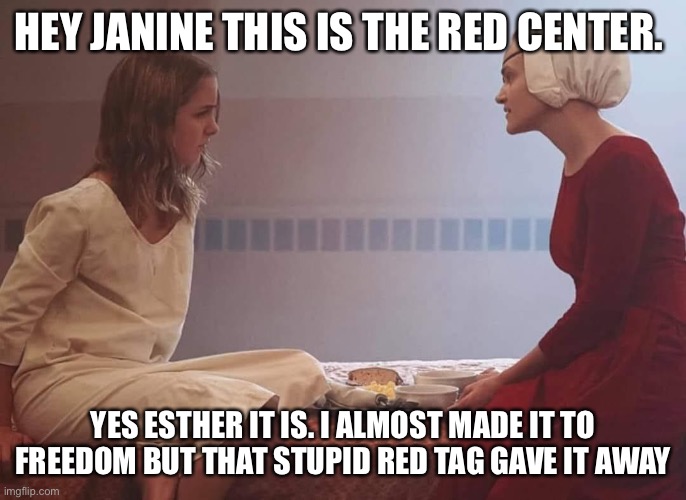 Janine and Esther at the Red Center | HEY JANINE THIS IS THE RED CENTER. YES ESTHER IT IS. I ALMOST MADE IT TO FREEDOM BUT THAT STUPID RED TAG GAVE IT AWAY | image tagged in janine,elizabeth moss,gilead,the handmaids tale | made w/ Imgflip meme maker