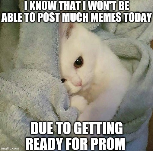 See You All Later When I Get Home | I KNOW THAT I WON'T BE ABLE TO POST MUCH MEMES TODAY; DUE TO GETTING READY FOR PROM | image tagged in popcorn laceyrobbins1's cat | made w/ Imgflip meme maker